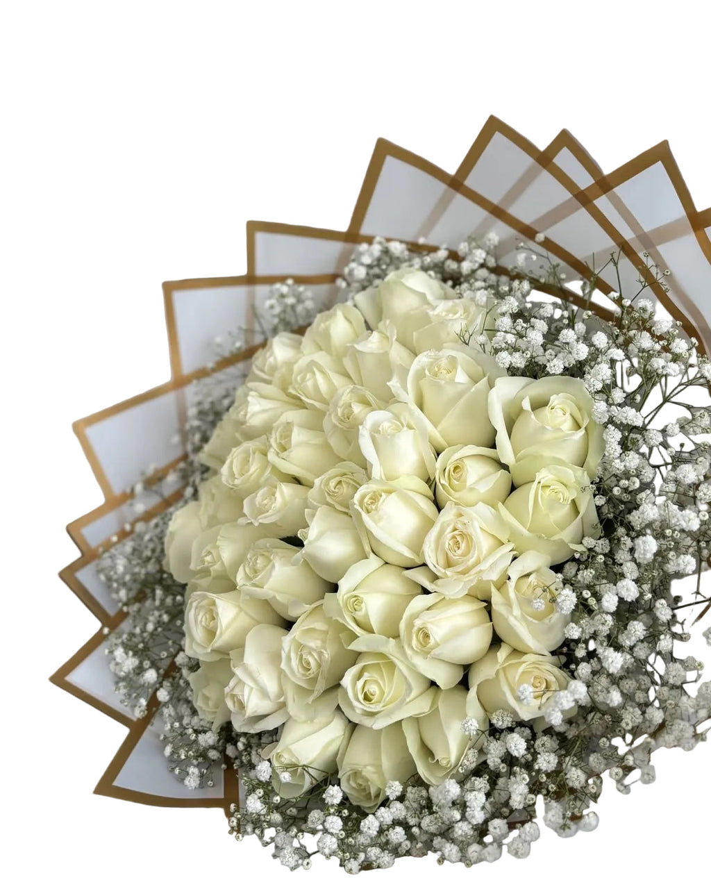 Roses (Fresh) 🌹